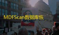 MDFScan数据库恢复软件 2.875 绿色免费版